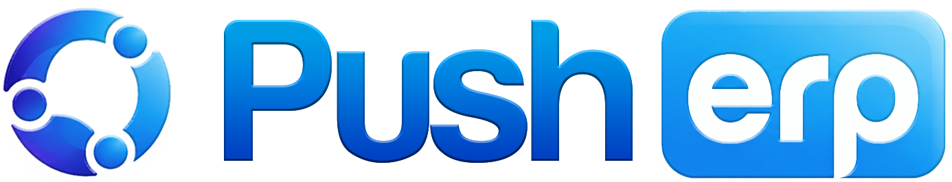 PushERP (Logotipo)